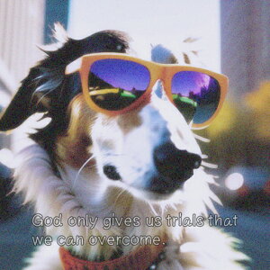 �T���O���X BorderCollie �s�� ���� �N�b�V�����J�o�[ 45×45cm �A�j�}���� ������� ���� �N�b�V�����{�̕t�� �����` ���t�@��