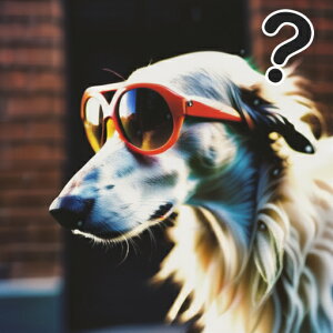 TOX {]C NGX`}[N K̕ NbVJo[ 45×45cm Aj}   NbV{̕t ` t@