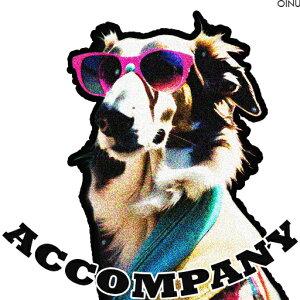 TOX R[ XJ[t NbVJo[ 45×45cm Aj}   NbV{̕t ` t@