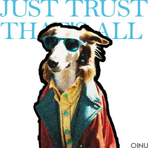 TOX {[_[R[ WPbg JtȃVc NbVJo[ 45×45cm Aj}   NbV{̕t ` t@