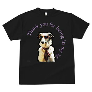 TVc Y LbY t@  t  vg JWA 킢 lԗp tBbglX _X TOX ̑ XJ[t Kl 