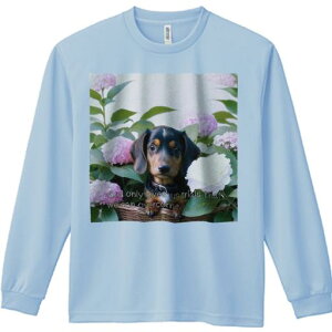 TVc lԗp Y Ht vg W[ AEghA JWA 킢 t@ AWTC _bNXth  JS