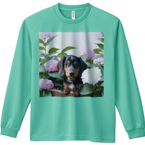 TVc lԗp Y Ht vg W[ AEghA JWA 킢 t@ AWTC _bNXth  JS