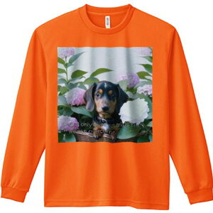 TVc lԗp Y Ht vg W[ AEghA JWA 킢 t@ AWTC _bNXth  JS