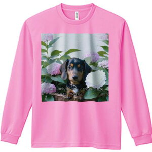 TVc lԗp Y Ht vg W[ AEghA JWA 킢 t@ AWTC _bNXth  JS