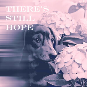 AWTC _bNXth ] NbVJo[ 45×45cm Aj}   NbV{̕t ` t@