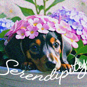  _bNXth 킢 K[fjO NbVJo[ 45×45cm Aj}   NbV{̕t ` t@