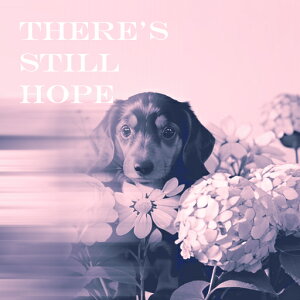 AWTC ~j`A_bNXth  ] NbVJo[ 45×45cm Aj}   NbV{̕t ` t@