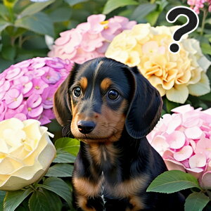 AWTC _bNXth }[N NbVJo[ 45×45cm Aj}   NbV{̕t ` t@