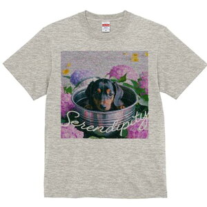 TVc Y LbY t@  t  vg JWA 킢 lԗp tBbglX _X z _bNXtg AWTC oPc