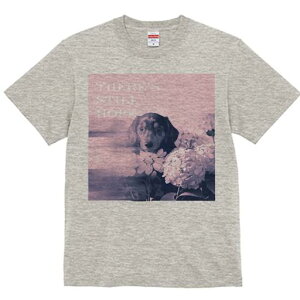 TVc Y LbY t@  t  vg JWA 킢 lԗp tBbglX _X AWTC ~j`A_bNXth  ]