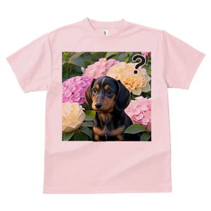 TVc Y LbY t@  t  vg JWA 킢 lԗp tBbglX _X AWTC _bNXth }[N