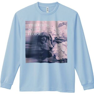 TVc lԗp Y Ht vg W[ AEghA JWA 킢 t@ AWTC _bNXth ]