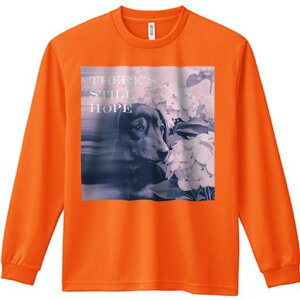 TVc lԗp Y Ht vg W[ AEghA JWA 킢 t@ AWTC _bNXth ]