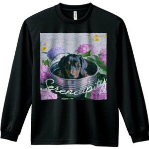 TVc lԗp Y Ht vg W[ AEghA JWA 킢 t@ z _bNXtg AWTC oPc