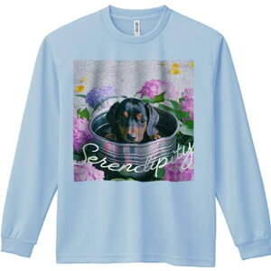 TVc lԗp Y Ht vg W[ AEghA JWA 킢 t@ z _bNXtg AWTC oPc