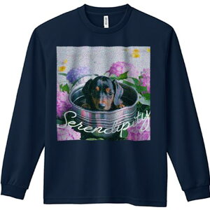 TVc lԗp Y Ht vg W[ AEghA JWA 킢 t@ z _bNXtg AWTC oPc