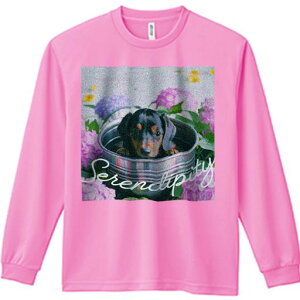 TVc lԗp Y Ht vg W[ AEghA JWA 킢 t@ z _bNXtg AWTC oPc