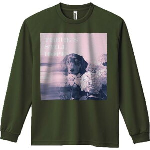 TVc lԗp Y Ht vg W[ AEghA JWA 킢 t@ AWTC ~j`A_bNXth  ]