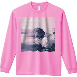 TVc lԗp Y Ht vg W[ AEghA JWA 킢 t@ AWTC ~j`A_bNXth  ]