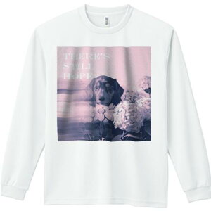 TVc lԗp Y Ht vg W[ AEghA JWA 킢 t@ AWTC ~j`A_bNXth  ]