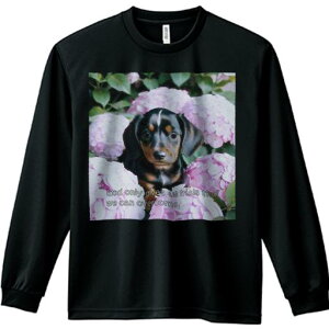 TVc lԗp Y Ht vg W[ AEghA JWA 킢 t@ AWTC _bNXth