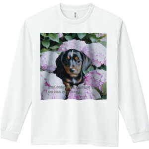 TVc lԗp Y Ht vg W[ AEghA JWA 킢 t@ AWTC _bNXth