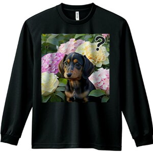 TVc lԗp Y Ht vg W[ AEghA JWA 킢 t@ AWTC _bNXth }[N