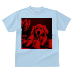 TVc Y LbY t@  t  vg JWA 킢 lԗp tBbglX _X  S[fgo[  A