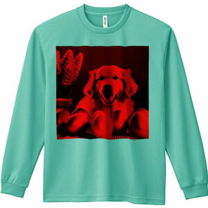 TVc lԗp Y Ht vg W[ AEghA JWA 킢 t@  S[fgo[  A