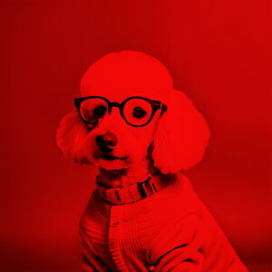 Kl v[h Z[^[ Ԕwi NbVJo[ 45×45cm Aj}   NbV{̕t ` t@