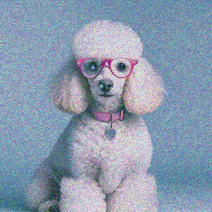 sÑKl v[h sN̎ NbVJo[ 45×45cm Aj}   NbV{̕t ` t@