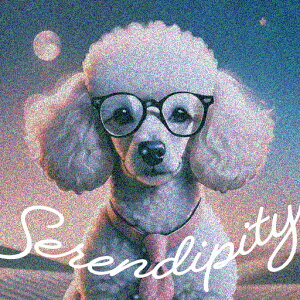 ዾ v[h lN^C ZfBseB Kl  NbVJo[ 45×45cm Aj}   NbV{̕t ` t@