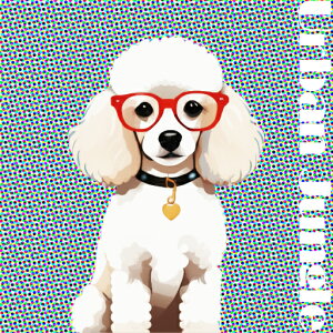 Kl v[h J[^O hbg͗l NbVJo[ 45×45cm Aj}   NbV{̕t ` t@