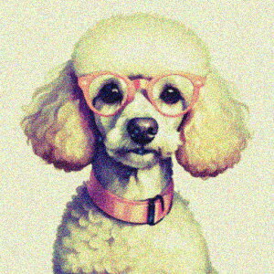 Kl v[h Jt 敗 NbVJo[ 45×45cm Aj}   NbV{̕t ` t@