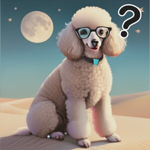 Kl v[h    NbVJo[ 45×45cm Aj}   NbV{̕t ` t@