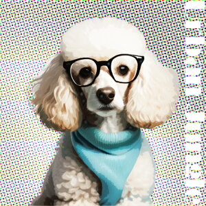 ዾ v[h XJ[t hbgwi NbVJo[ 45×45cm Aj}   NbV{̕t ` t@