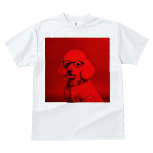 TVc Y LbY t@  t  vg JWA 킢 lԗp tBbglX _X Kl v[h Z[^[ Ԕwi