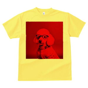 TVc Y LbY t@  t  vg JWA 킢 lԗp tBbglX _X Kl v[h Z[^[ Ԕwi