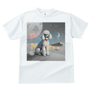 TVc Y LbY t@  t  vg JWA 킢 lԗp tBbglX _X p[eB[ v[h Kl  