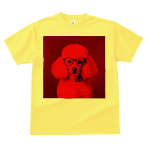 TVc Y LbY t@  t  vg JWA 킢 lԗp tBbglX _X Kl v[h