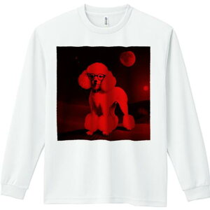 TVc lԗp Y Ht vg W[ AEghA JWA 킢 t@ Kl v[h   