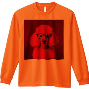 TVc lԗp Y Ht vg W[ AEghA JWA 킢 t@ Kl v[h