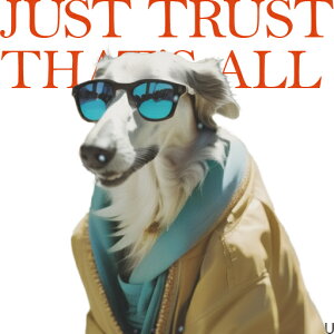 TOX {]C WPbg XJ[t eLXg NbVJo[ 45×45cm Aj}   NbV{̕t ` t@