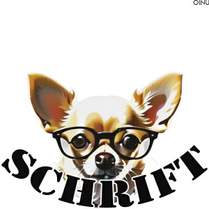 Kl ` NbVJo[ 45×45cm Aj}   NbV{̕t ` t@