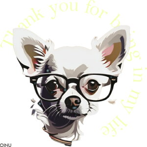 Kl ` wĩeLXg NbVJo[ 45×45cm Aj}   NbV{̕t ` t@