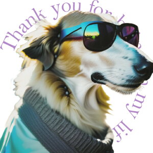 TOX {[_[R[ }t[ NbVJo[ 45×45cm Aj}   NbV{̕t ` t@