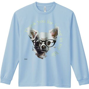 TVc lԗp Y Ht vg W[ AEghA JWA 킢 t@ Kl ` wĩeLXg