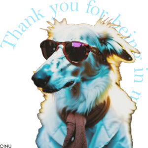 TOX {[_[R[ XJ[t NbVJo[ 45×45cm Aj}   NbV{̕t ` t@