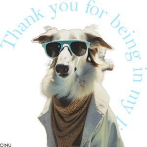 TOX {]C R[g }t[ NbVJo[ 45×45cm Aj}   NbV{̕t ` t@